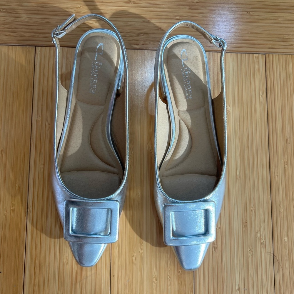 Silver flats with Buckle, small block heel